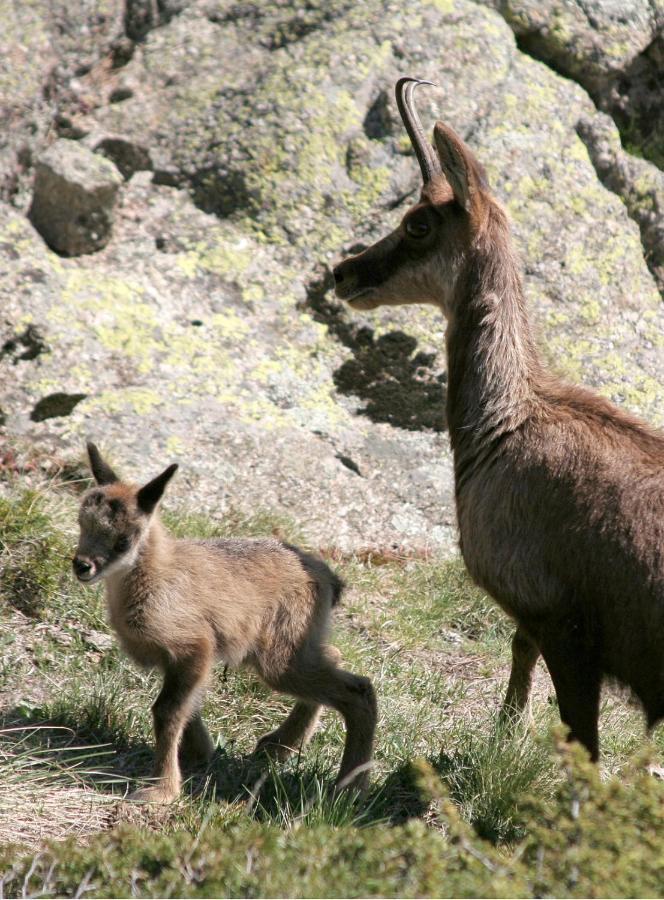 Serrat Del Vent - Adults Only Рибес-де-Фресер Екстер'єр фото