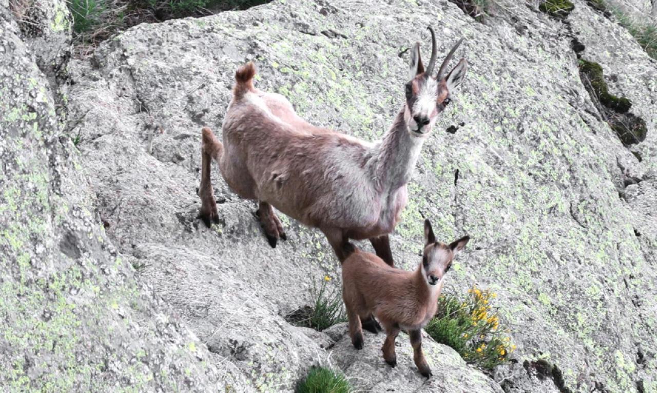 Serrat Del Vent - Adults Only Рибес-де-Фресер Екстер'єр фото