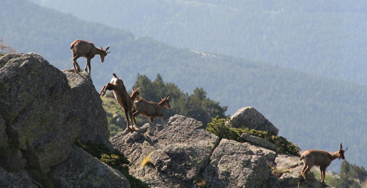 Serrat Del Vent - Adults Only Рибес-де-Фресер Екстер'єр фото
